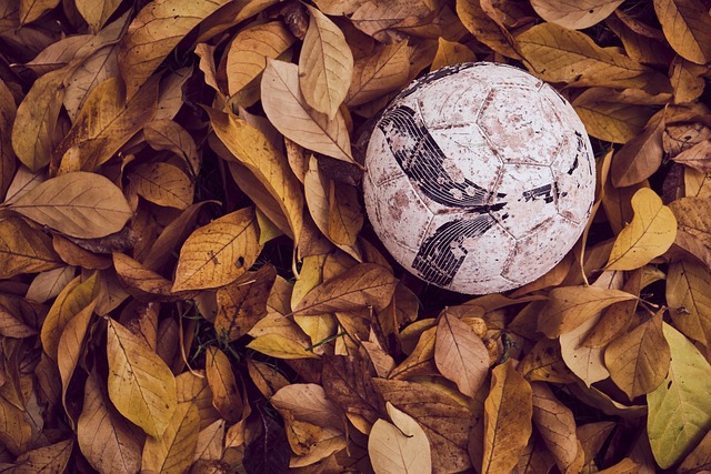 员团队则需